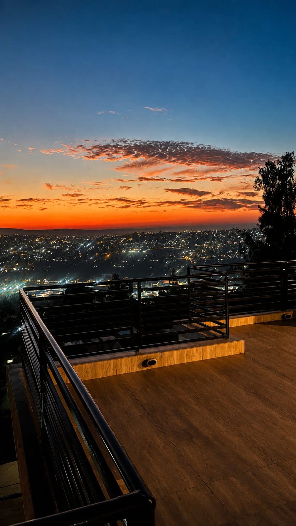 Wellness Experience